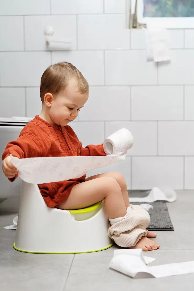 Beyond the Diaper: Pro-Tips for a Smooth Transition to the Potty Seat