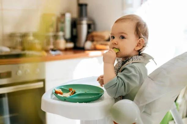 The "Big Kid" Shift: When and How to Move from a High Chair to a Booster Seat