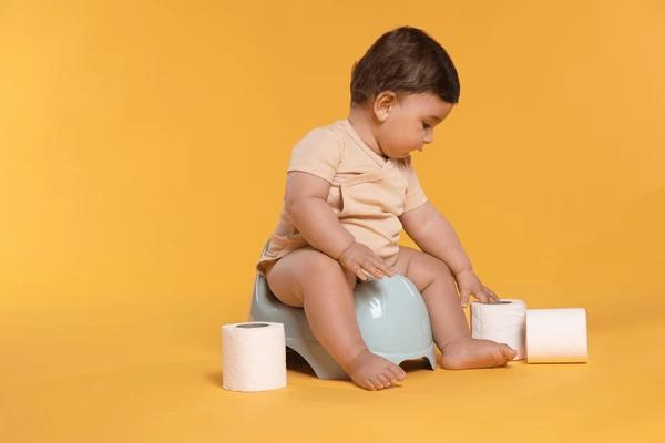 The Science of the Squat: How the Right Potty Seat Supports Healthy Digestion