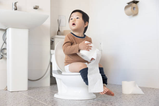 kids potty training seat
