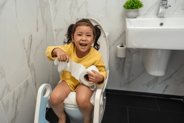potty training seat