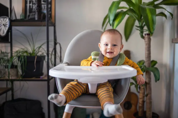 baby high chair