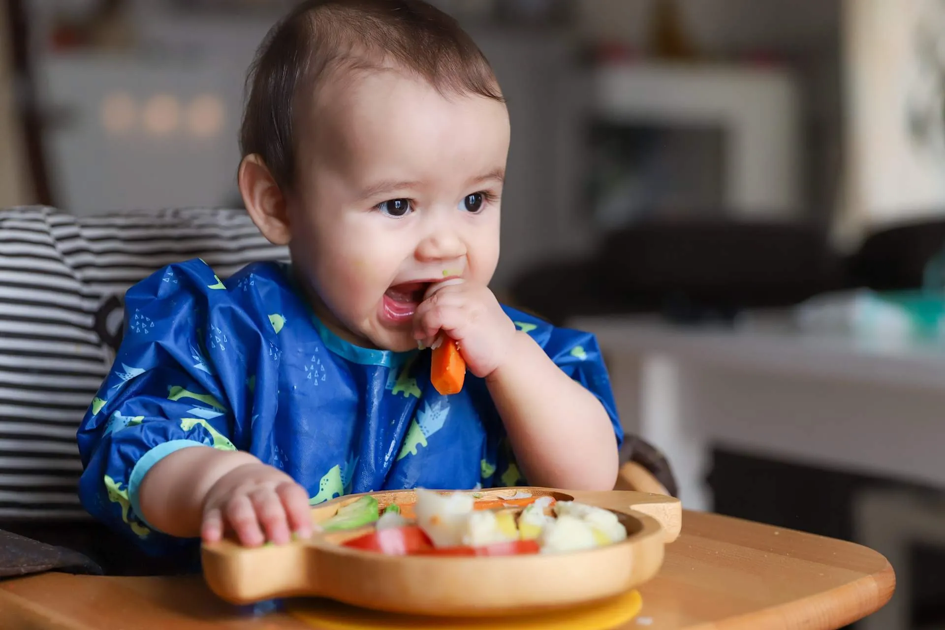 Child Eating Routine Daily Meal Routine for Babies
